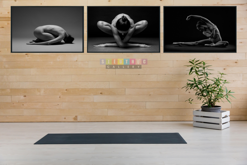 Combo 3 bức canvas yoga nude mã YN01